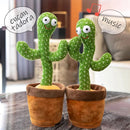 Cacto Dançante Falante - FunToy®