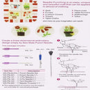 Agulha Magica Artesanato Manual Ponto Russo 12 Graduações - OWL EL SHARDY