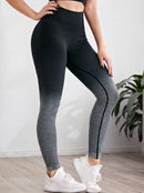 Legging Gradiente - OWL EL SHARDY