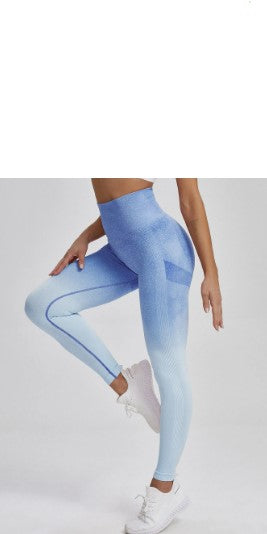 Legging Gradiente - OWL EL SHARDY