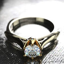 Anel Tendency - OWL EL SHARDY