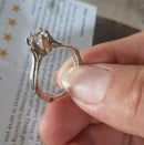 Anel Tendency - OWL EL SHARDY