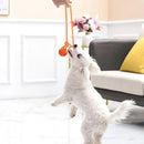 Bola com Corda - OWL EL SHARDY