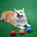 Bola com Corda - OWL EL SHARDY