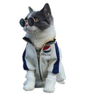 Óculos Pet - OWL EL SHARDY