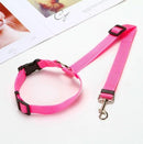 Guia Veicular - OWL EL SHARDY