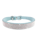 Coleira Cravejada PetChique - OWL EL SHARDY