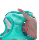 Coleira PetFunny - OWL EL SHARDY