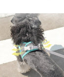 Coleira PetFunny - OWL EL SHARDY