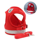 Guia KatConfort - OWL EL SHARDY