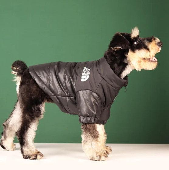 Jaqueta TDF Pets - OWL EL SHARDY
