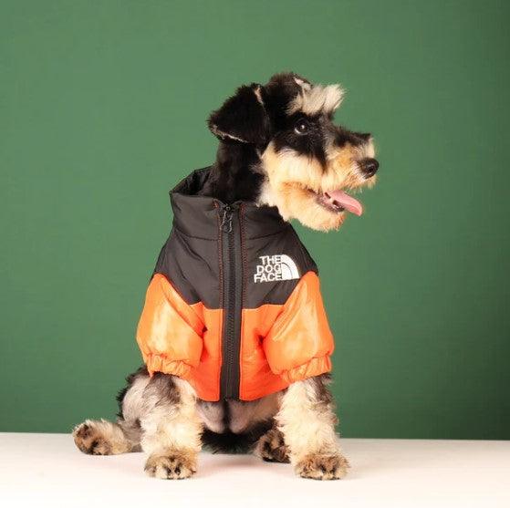 Jaqueta TDF Pets - OWL EL SHARDY