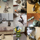 Varinha Interativa BirdFunny - OWL EL SHARDY